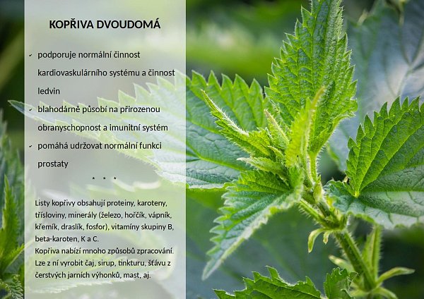 OKG Emulips Slim drink  60 g