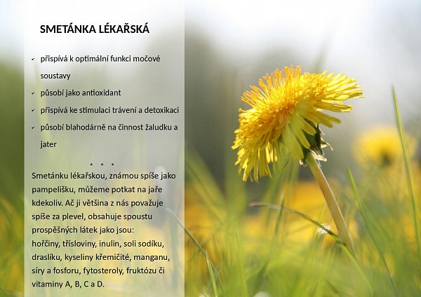 OKG Emulips Slim drink  60 g