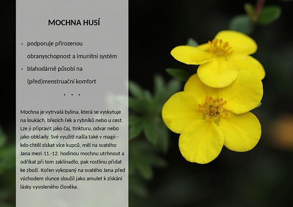 OKG Emulips Slim drink  60 g