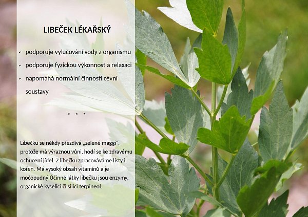 OKG Emulips Slim drink  60 g